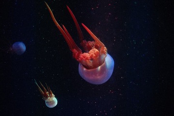 001
