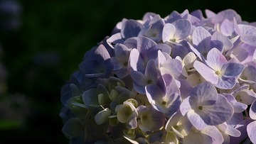 6B8069DA-E1F1-434F-A308-E1A4E5C34969/L0/001