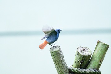 29375