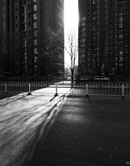 9D3A3B95-D595-4CEC-A942-01C61EA0D016