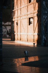 001