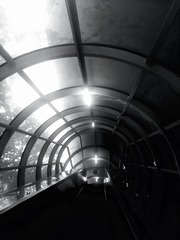 2508374