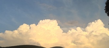 1000008508