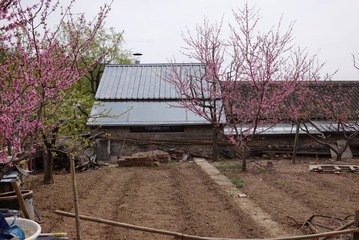 F50E14E3-70DC-4B82-8083-46EFA06F91A2/L0/001
