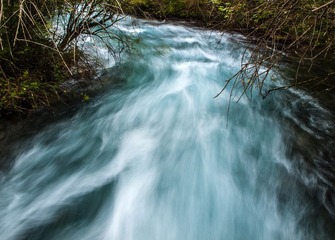 P8314171.jpg