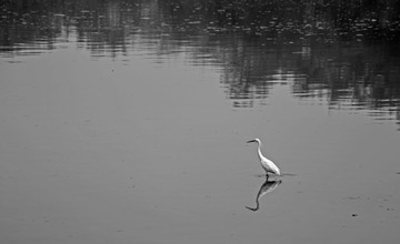 DSC_1039.jpg