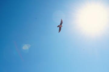001