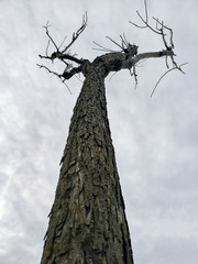 10463