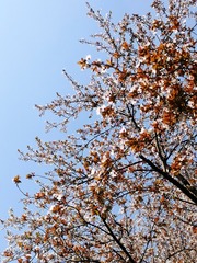 9920
