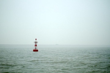 156.jpg
