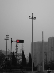 红灯停