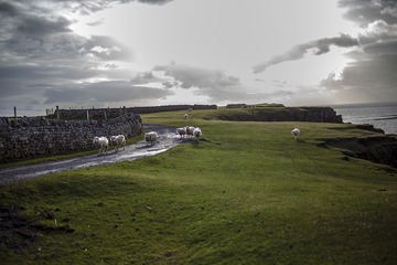 IMG_1821c.jpg