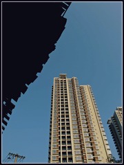 1000022647
