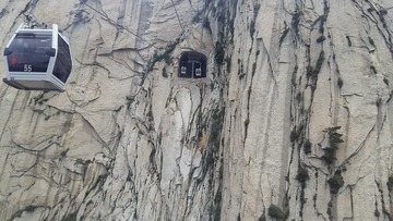 1000058463