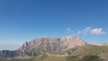 1000061768