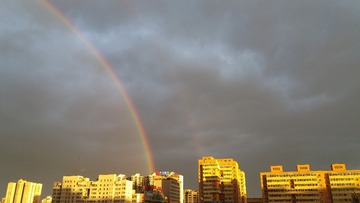 1000061751
