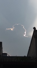 1000061754