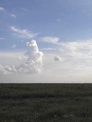 1000062045