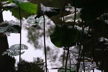 1000407772