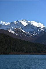 137541