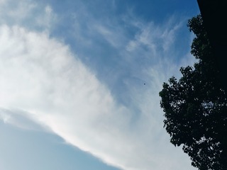 1000002181