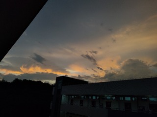 1000038023