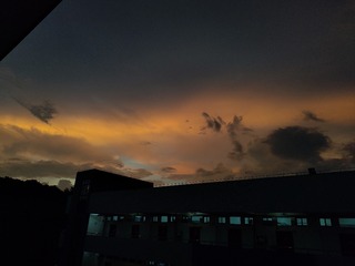 1000038028