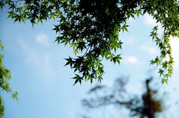 IMGP2327_