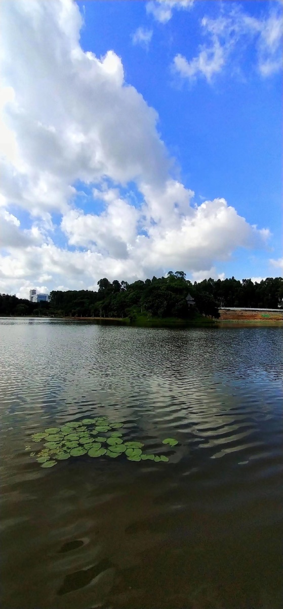 广州大学城中湖心公园