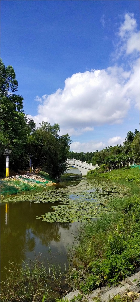 广州大学城中湖心公园