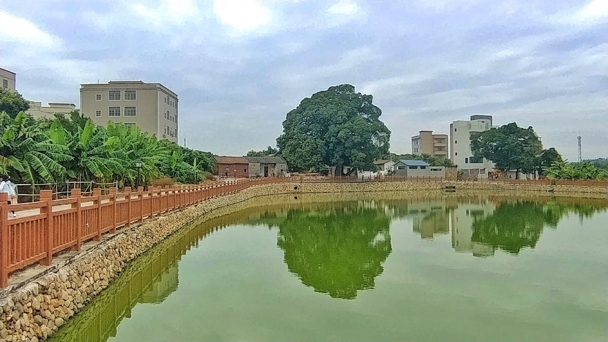 乡村风情广州白云区马沥游