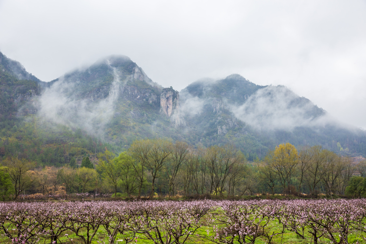花红柳绿春已酣浙江仙居云溪村
