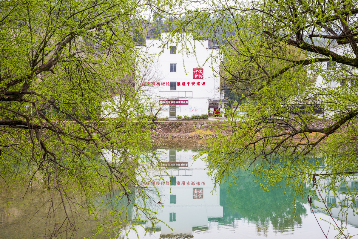 花红柳绿春已酣浙江仙居云溪村