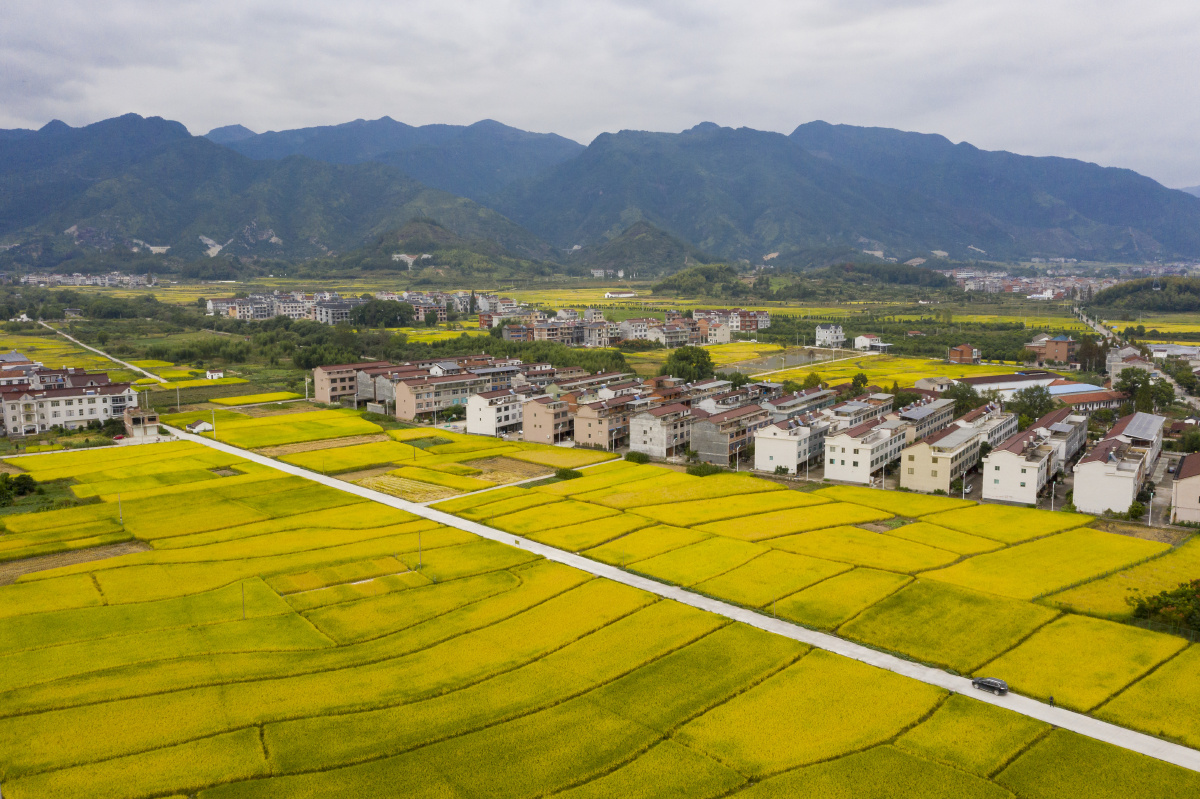 浙江仙居横溪最美秋色在农村田园美景八都垟