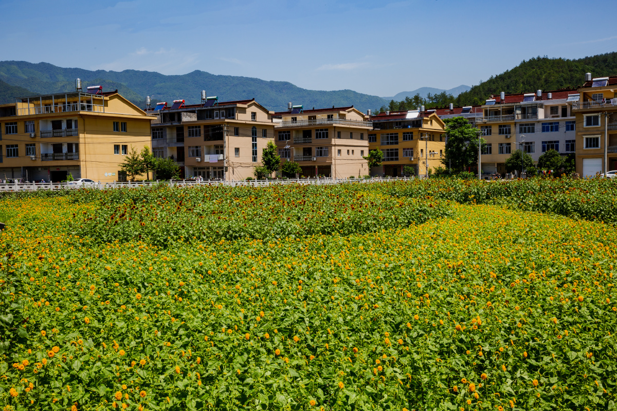 花园式新农村浙江仙居