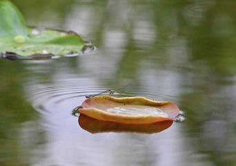 14132