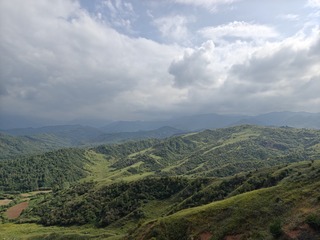 1000153546