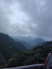 1000063739
