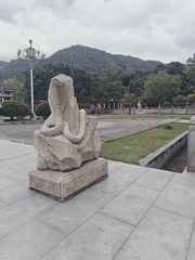 1000016224