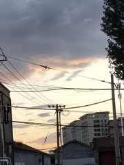 1000017329