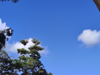 1000012522