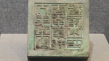 1000027163