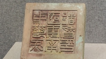 1000027162