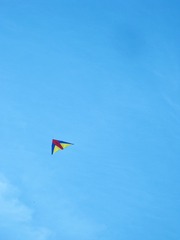 1000041832