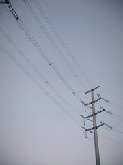 1000072080