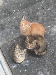 1000002805