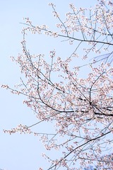 E111570E-9EEB-4E54-AB6A-F925368F7368/L0/001