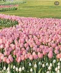 220