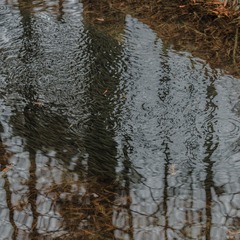 1000071778