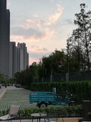 3157493